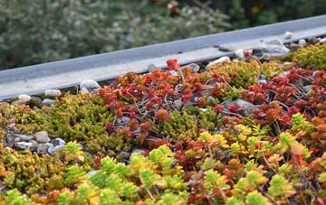 the cost of Overtown green roof installation