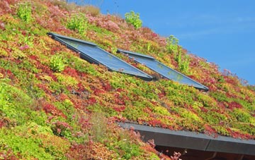 Overtown living roof systems