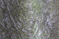 Overtown fibreglass roof work